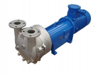 2BVA水環式真空泵